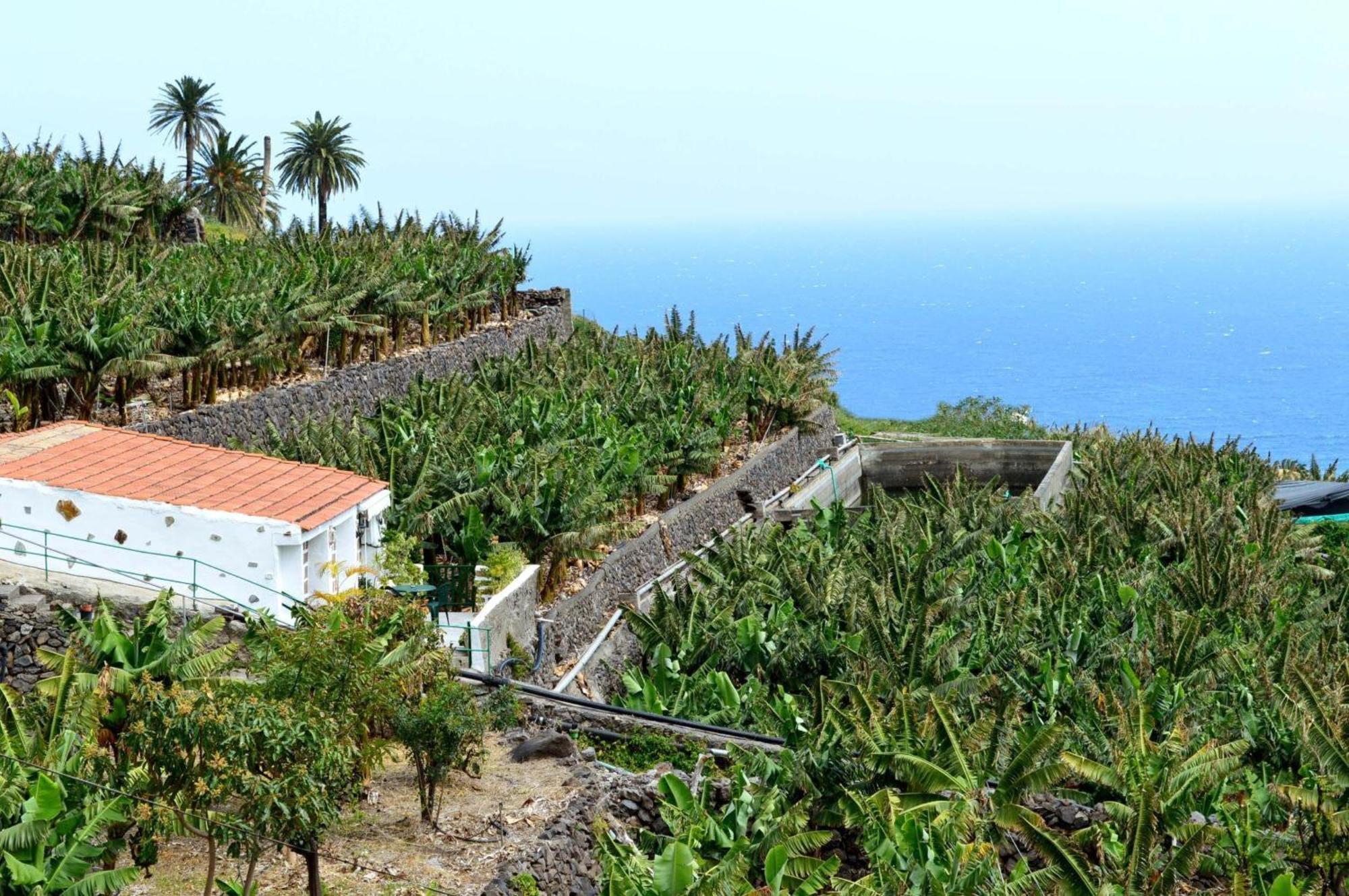 Apartment La Cuadra Hermigua