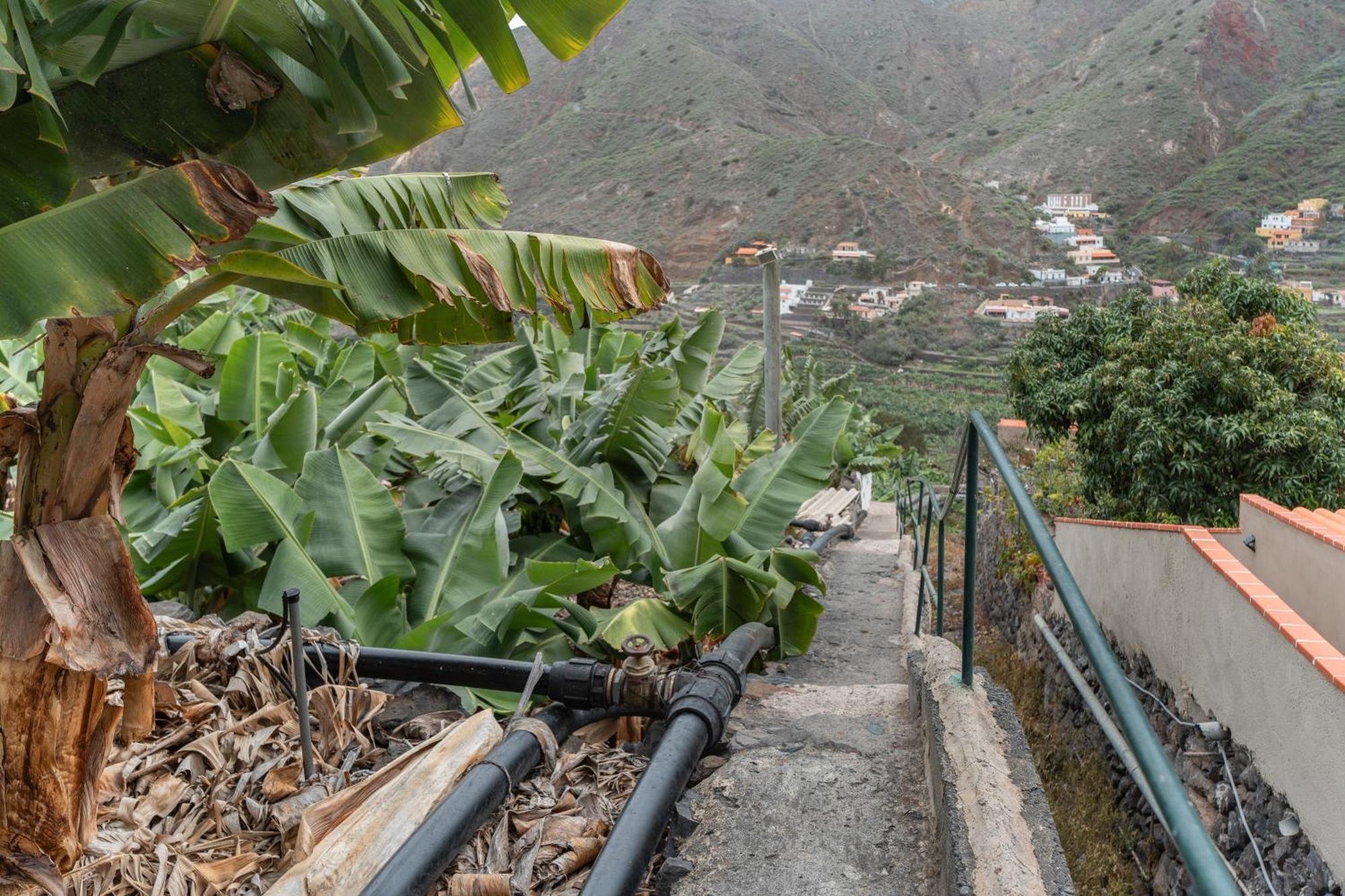La Cuadra